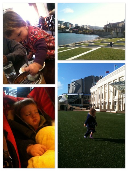 Alice at Yum Cha, napping, running on the astro-turf and playing by the lagoon on the Wellington waterfront