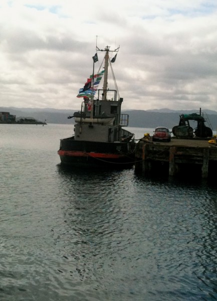 Bedecked with flags