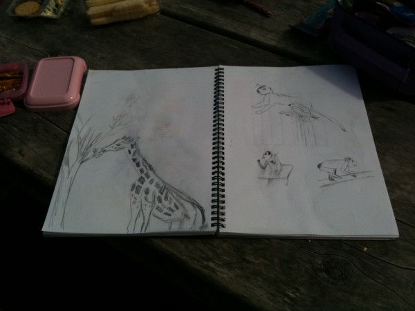 Sketching at the Zoo