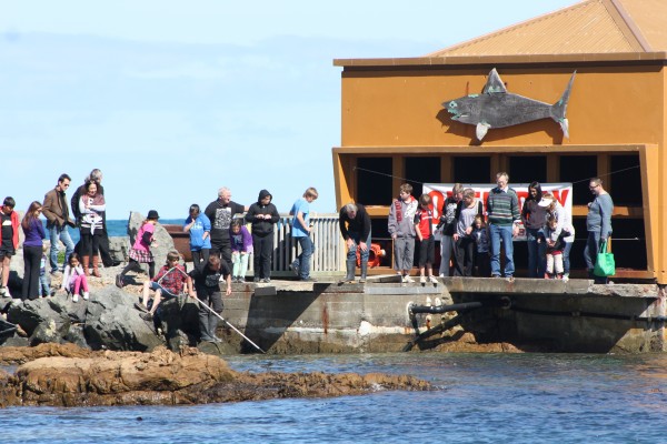 Island Bay Marine Education Centre