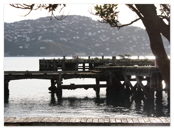 Shelly Bay