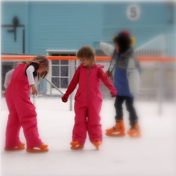 Checking out their orange skates