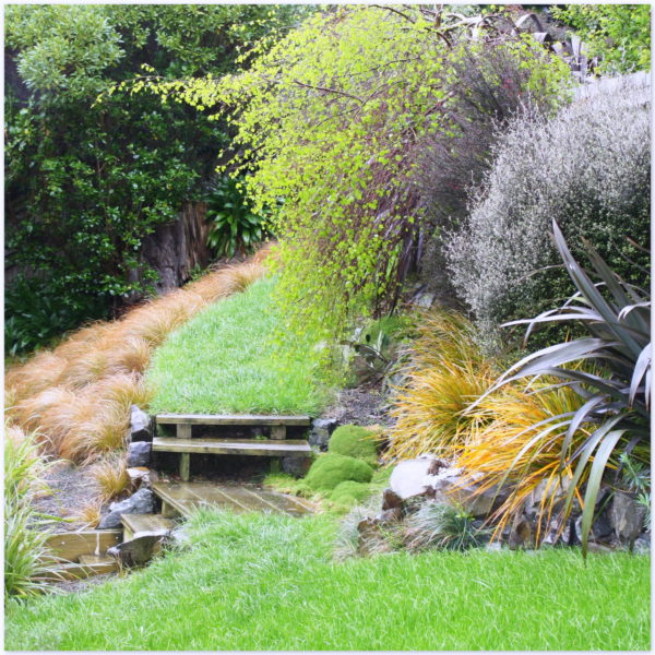 Our spring garden bathed in green and lots of rain!