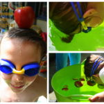 Apple bobbing Halloween in the southern hemisphere