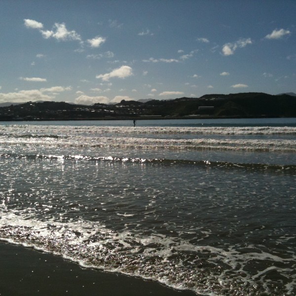 Sparkling sun on the water at Lyall Bay