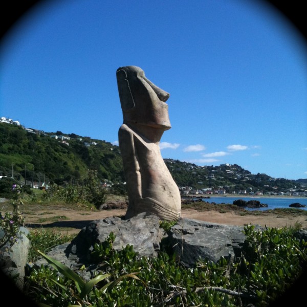 Overlooking Lyall Bay, Wellington