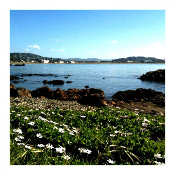 A calm day at Lyall Bay