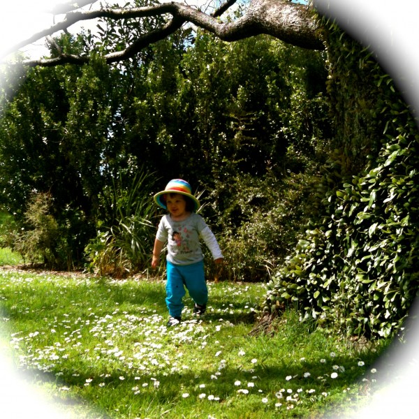 Walking in sunshine on a bed of daisies