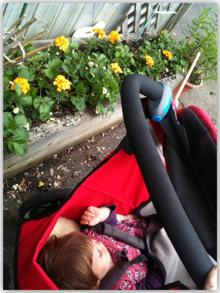 Alice sleeping in her buggy to the sound of the birds whilst I plant