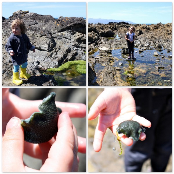 Rockpooling