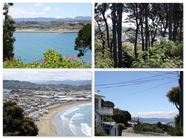 Our walk to the Zoo in Wellington