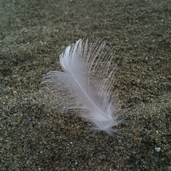 FEATHER