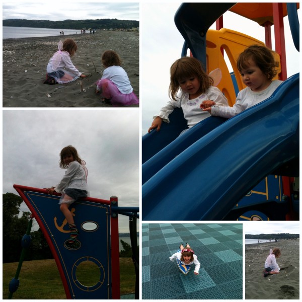 Petone foreshore