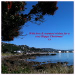 Christmas Eve sunshine thoughts from New Zealand