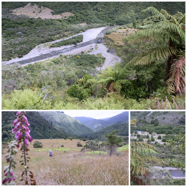 Beautiful scenery at the western entrance to the Tararua ranges