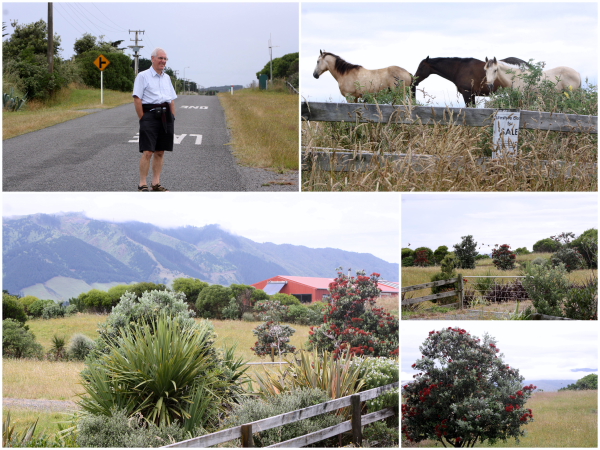 The rural surrounds and beauty of Te Horo