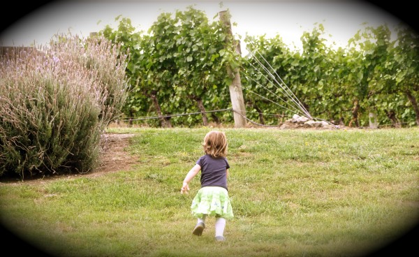 Alice in the vineyard