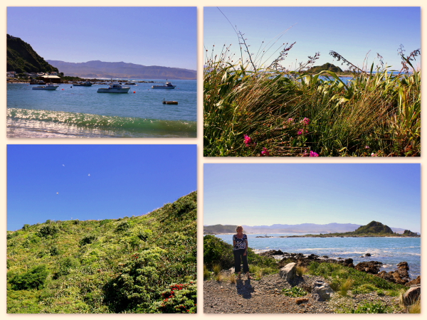 A beautiful walk around Island Bay on Wellington's South Coast