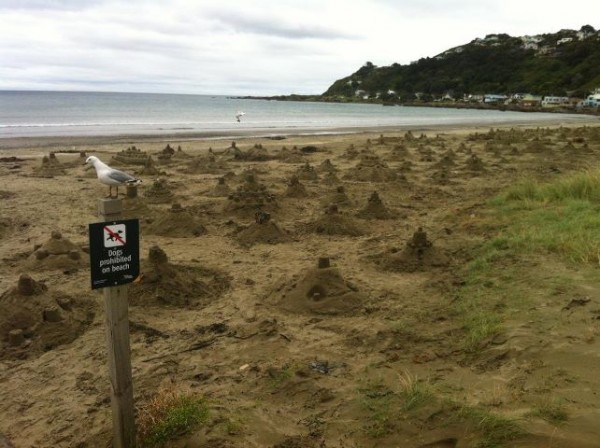 sandcastles 8