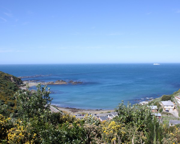 Wellington's south coast