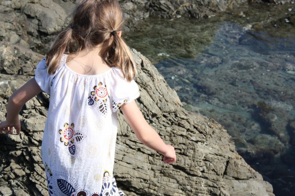 Rock pooling Friday afternoon