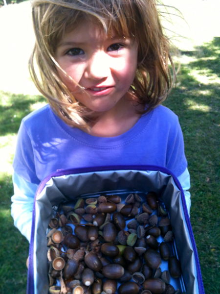 Sophie gleefully collecting acorns