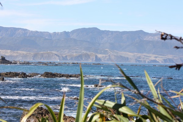 Beautiful scene off Wellington's south coast