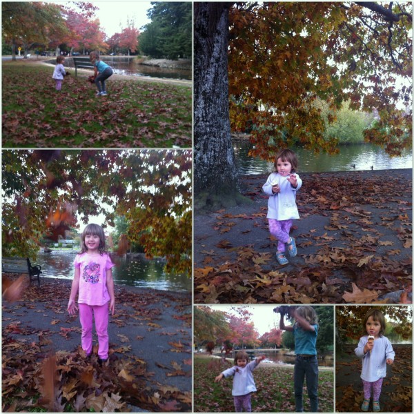 Autumnal colours and fun with the leaves