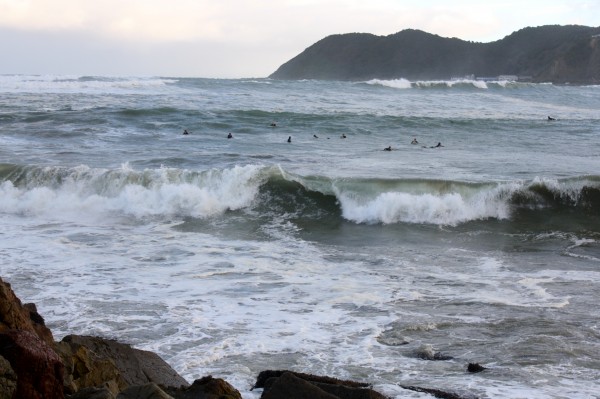 Brave surfers getting a big rush at Lyall Bay
