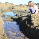 Learning, rock pooling & something ‘PINK’!