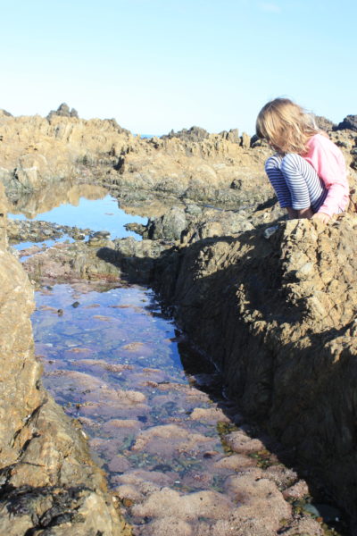Rock pools at Princess Bay