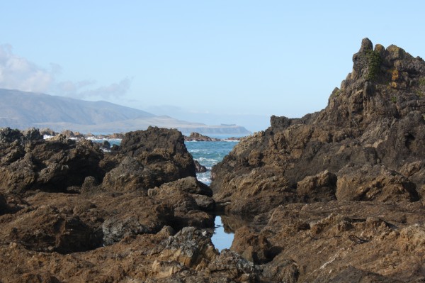 Rock pools at Princess Bay