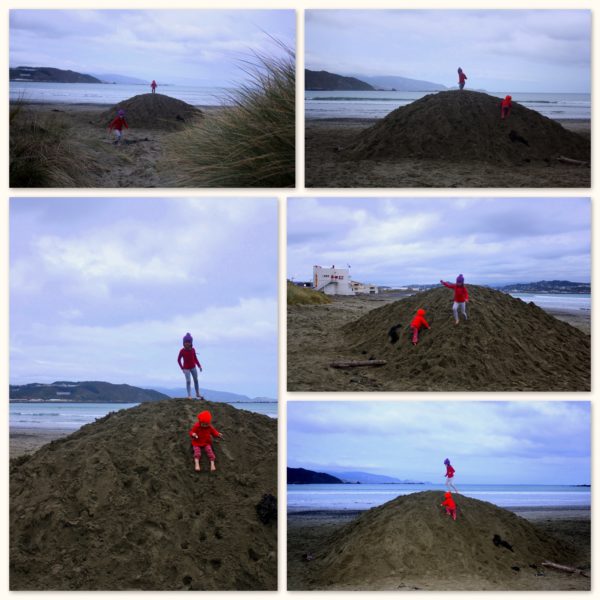 HUGE pile of sand that appeared overnight on Lyall Bay beach