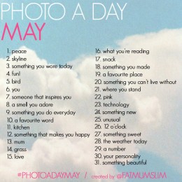 mayphotoaday-list-2