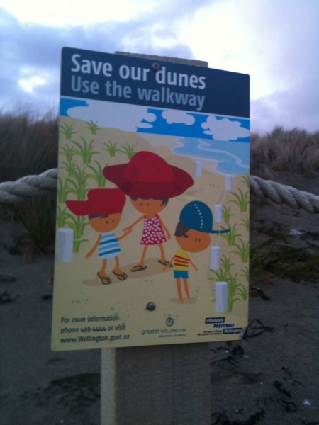 Dune sign at Lyall Bay