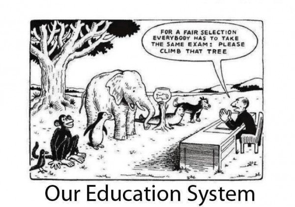 Our Education System