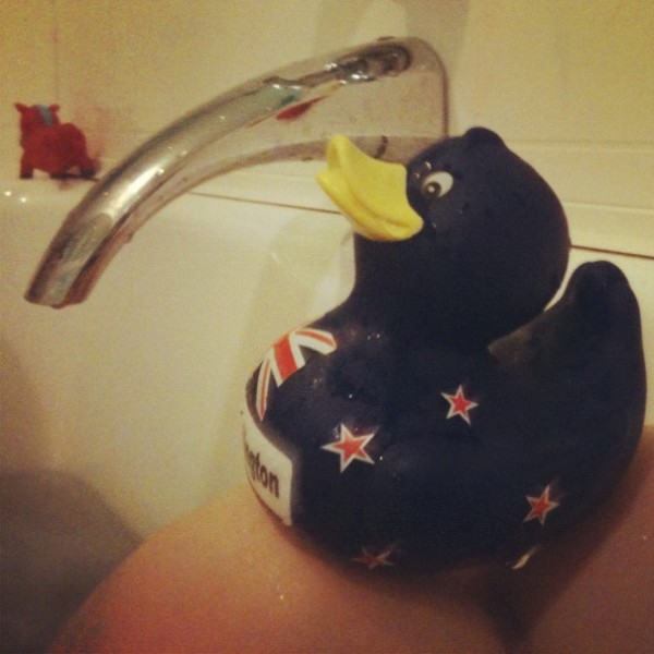 BATHROOM - MY WELLINGTON, NZ DUCK