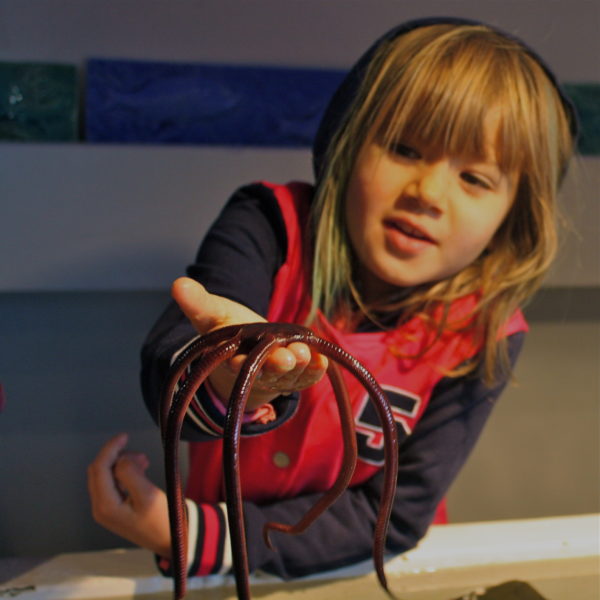 Sophie at the Marine Education Centre in Island Bay