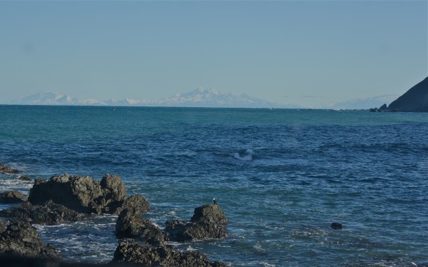 Seaward Kaikoura ranges from Wellington's southcoast