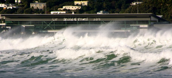 WILD AT HEART - Wellington Airport with a wild Lyall Bay