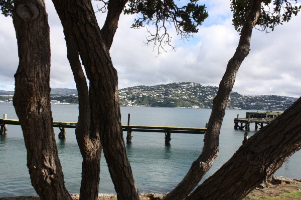 Beautiful, sunshine Friday across Evans Bay in Wellington