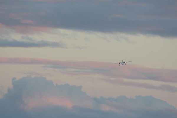 Plane coming into land at sundown over Lyall Bay