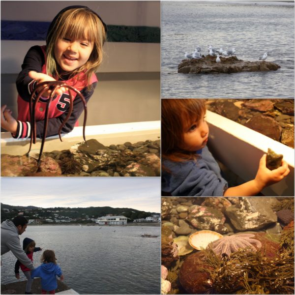 Alice and Sophie holding starfish and a brittle star and waving the carpet shark off