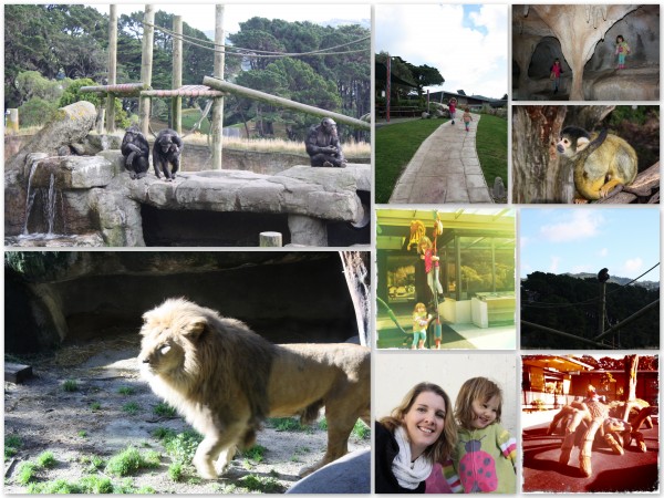 At the zoo in Wellington