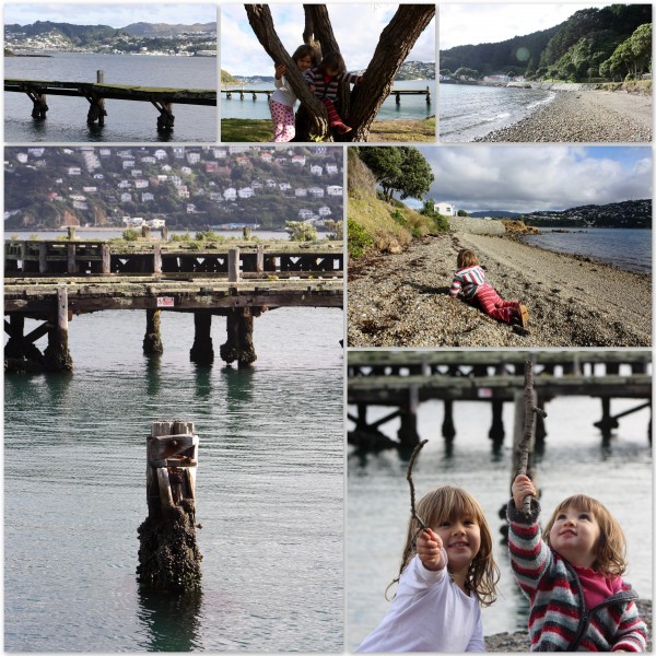 Sunshine Friday at Shelly Bay, Wellington