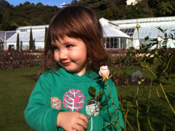 Alice in the rose garden in winter