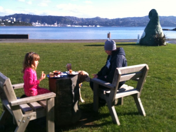 sunshine at shelly bay