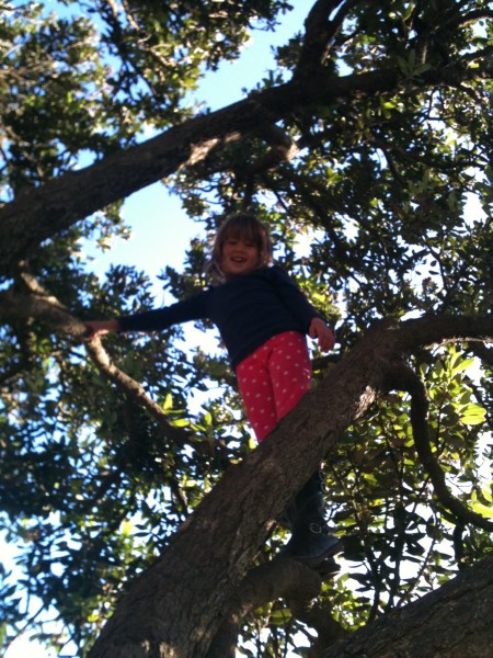 Sophie climbing a tree