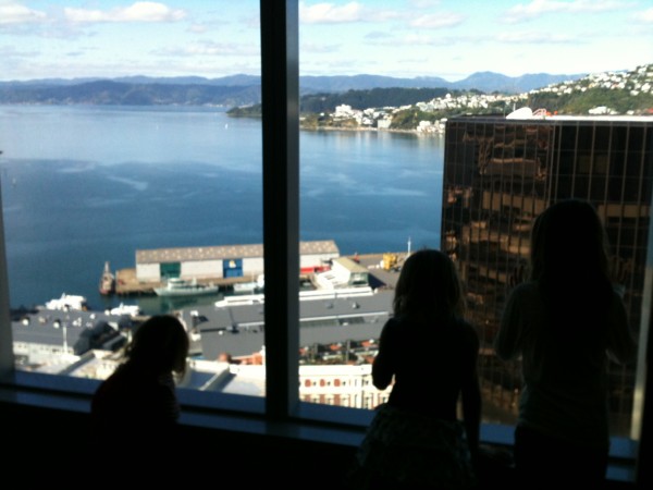 24th floor of a skyscraper in Wellington