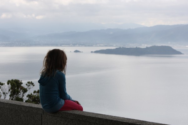Sophie looking out over Wellington harbour.